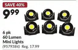 Princess Auto 60 Lumen Mini Lights offer