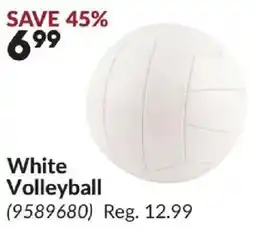 Princess Auto White Volleyball offer
