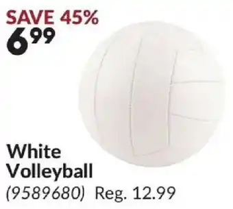 Princess Auto White Volleyball offer