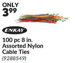Princess Auto Enkay Assorted Nylon Cable Ties offer