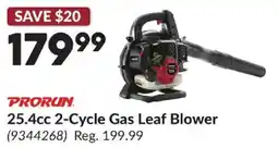 Princess Auto Prorun 2-Cycle Gas Leaf Blower offer