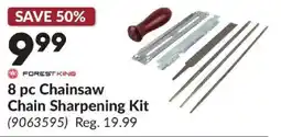 Princess Auto Forest King Chainsaw Chain Sharpening Kit offer