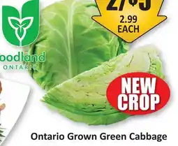 Starsky Foodland Ontario Grown Green Cabbage offer