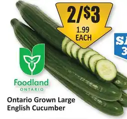 Starsky Foodland Ontario Grown Large English Cucumber offer