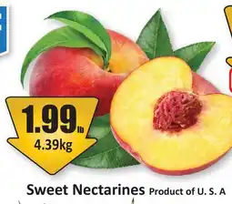 Starsky Sweet Nectarines offer