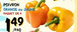Marche Salaberry POIVRON offer
