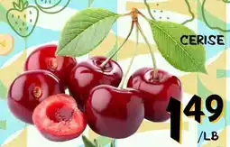 Marche Salaberry CERISE offer