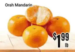 Nations Fresh Foods Orah Mandarin offer