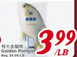 United Supermarket Golden Pompano offer