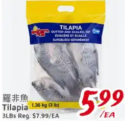 United Supermarket Tilapia offer