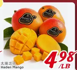 United Supermarket Haden Mango offer