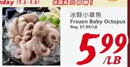 United Supermarket Frozen Baby Octopus offer