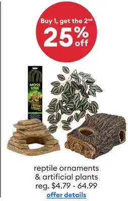 Petsmart reptile ornaments & artificial plants offer