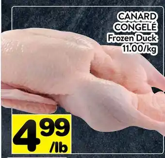 Supermarché PA CANARD CONGELÉ| Frozen Duck offer