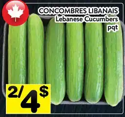 Supermarché PA CONCOMBRES LIBANAIS | Lebanese Cucumbers offer