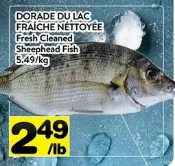 Supermarché PA DORADE DU LAC FRAÎCHE NÉTTOYÉE |Fresh Cleaned Sheephead Fish offer