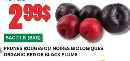 Marches Tau PRUNES ROUGES OU NOIRES BIOLOGIQUES offer