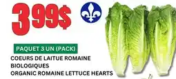 Marches Tau COEURS DE LAITUE ROMAINE BIOLOGIQUES offer