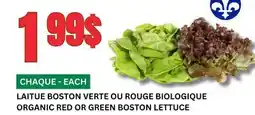 Marches Tau LAITUE BOSTON VERTE OU ROUGE BIOLOGIQUE offer