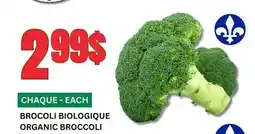 Marches Tau BROCOLI BIOLOGIQUE offer