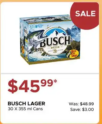 The Beer Store BUSCH LAGER offer