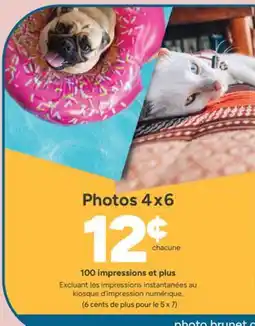 Brunet Photos 4 x 6 offer