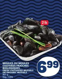 Marché Bonichoix FRESH CULTIVATED MUSSELS OR ORGANIC MUSSELS offer