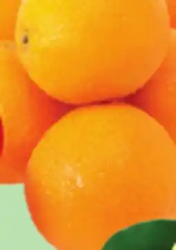 Giant Tiger 3 lb seedless oranges offer