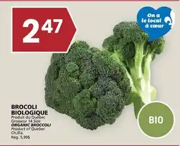 Rachelle-Bery Grocery ORGANIC BROCCOLI offer
