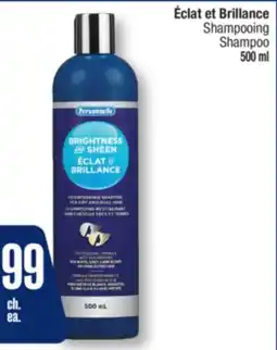 Jean Coutu Shampooing Shampoo offer