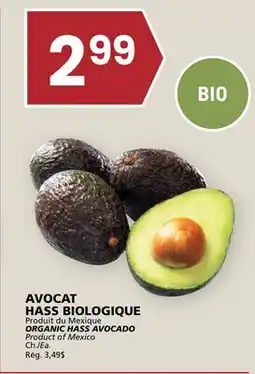 Rachelle-Bery Grocery ORGANIC HASS AVOCADO offer