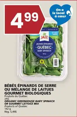Rachelle-Bery Grocery JAG ORGANIC GREENHOUSE BABY SPINACH OR GOURMET LETTUCE MIX offer
