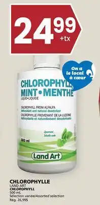 Rachelle-Bery Grocery LAND ART CHLOROPHYLL offer