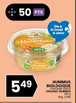 Rachelle-Bery Grocery FONTAINE SANTÉ ORGANIC HUMMUS offer