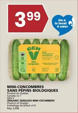 Rachelle-Bery Grocery GEN V ORGANIC SEEDLESS MINI CUCUMBERS offer