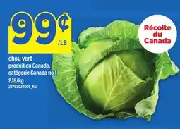 Maxi CHOU VERT offer