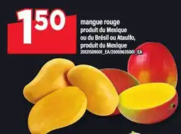 Maxi MANGUE ROUGE OU DU BRÉSIL OU ATAULFO offer