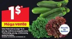 Maxi LAITUE FRISÉE VERTE OU ROUGE OU COURGETTES VERTES offer