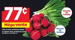 Maxi RADIS EN BOTTE OU OIGNONS VERTS offer