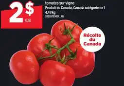 Maxi TOMATES SUR VIGNE offer