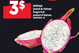Maxi PITAHAYA | DRAGON FRUIT offer