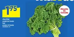 Maxi CHOU FRISÉ | KALE offer