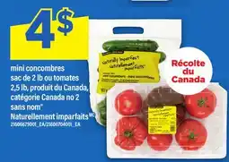 Maxi MINI CONCOMBRES, SAC DE 2 LB OU TOMATES, 2,5 LB SANS NOM |NATURELLEMENT IMPARFAITS offer