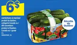 Maxi CORNICHONS À MARINER | DILL CUCUMBERS offer