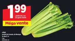 Maxi CÉLERI, 1 UN offer