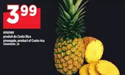 Maxi ANANAS | PINEAPPLE offer