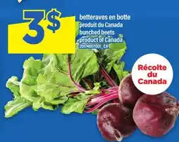 Maxi BETTERAVES EN BOTTE | BUNCHED BEETS offer