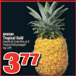 Super C ananas Tropical Gold | Tropical Gold pineapple offer