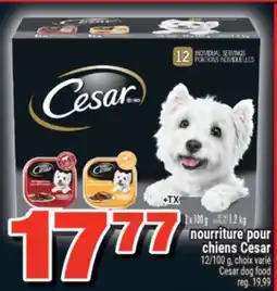 Super C nourriture pour chiens Cesar | Cesar dog food offer