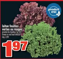Super C laitue feuilles vertes ou rouges offer